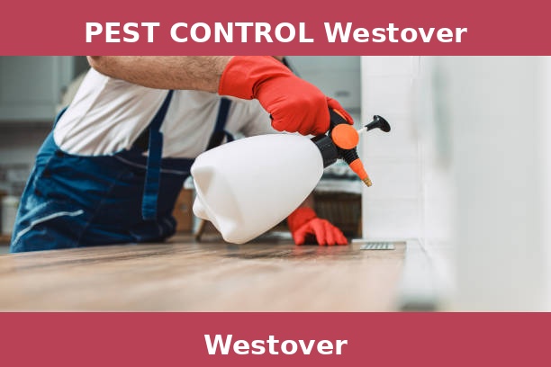 PEST CONTROL Westover